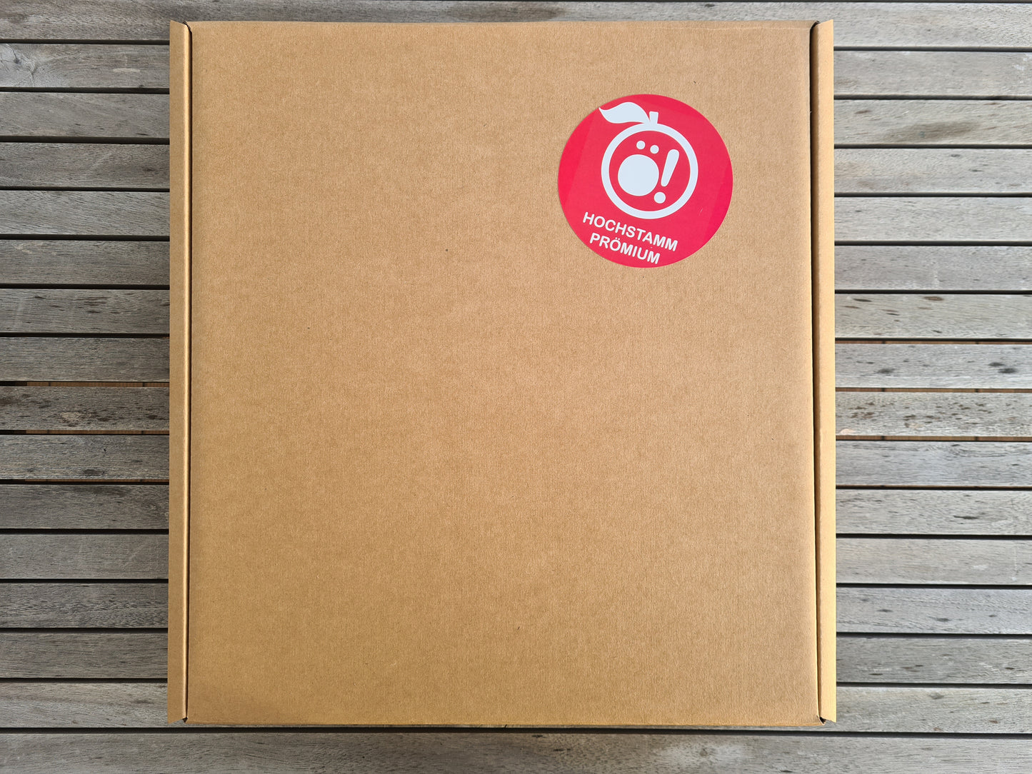 Geschenkpaket Gin & Apfelsaft